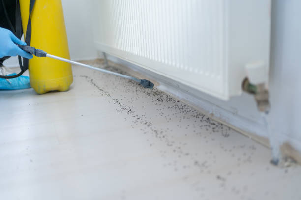Best Mosquito Control Services  in Greeley, CO