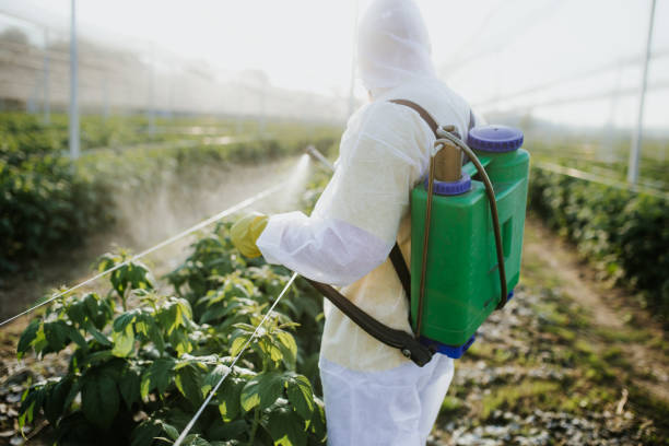 Best Commercial Pest Control Services  in Greeley, CO